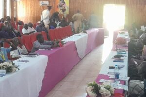 Inter-state cattle movement conference opens in Wau