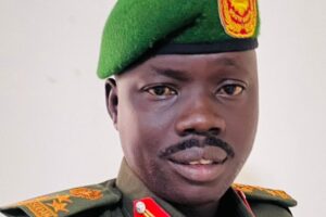 Agriculture minister accused of misleading presidency over armed forces