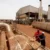 Sudan: RSF seizes Heglig oilfield, workers evacuated 
