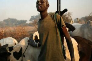 14 killed, 15 wounded in communal violence in Gogrial East