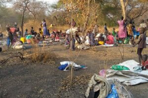 الأمم المتحدة تحذر من كارثة إنسانية في “جونقلي” بجنوب السودان: نزوح الآلاف وتفشي الكوليرا