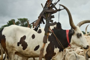 مقتل 4 أشخاص وإصابة آخرين إثر نزاع على “ثور” بولاية البحيرات بجنوب السودان