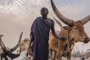 Opinion| Traditional beliefs must never be exploited for power, exclusion, or violence in governance