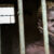 Investigation: Presidential pardons sold for cash at Juba prison