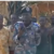 SPLA-IO says it captured 23 prisoners of war in Pajut fighting