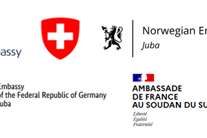 Western embassies, Japan call for ceasefire and humanitarian access