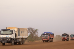 WFP appeals for safe humanitarian access as Jonglei conflict worsens