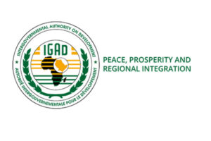 Opinion| Is IGAD morally bankrupt?
