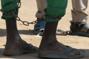 Probe urged after two Mayom men allegedly executed