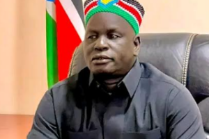 New Lakes State governor says suspect who ambushed army car arrested