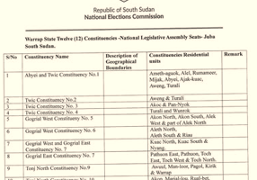 Open letter to the Chairperson and Members South Sudan National Election Commission (NEC)