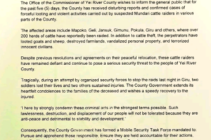 Senior SSPDF officer, soldier killed while pursuing cattle raiders in Yei