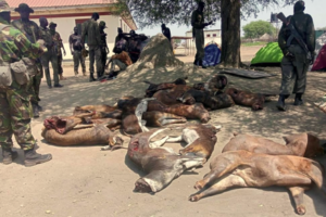 Wildlife authorities impound game meat, arrest suspects