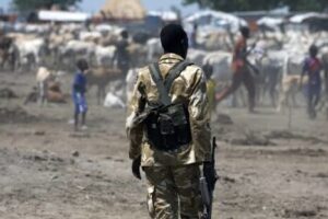 Commissioner, executive director killed in Abiemnhom attack: official