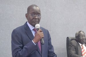 Ex-deputy minister says Murle area defined by neglect, not conflict