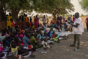 Sheltering under trees: Displaced people’s plight in Jonglei, Upper Nile, and Lakes states