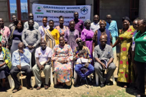 Residents blame brokers, chiefs for growing land grabbing in Juba