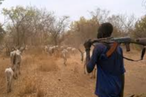 7 killed, 4 wounded in cattle raid in Twic County