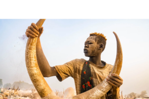 Mundri East violence leaves 22 dead, thousands displaced