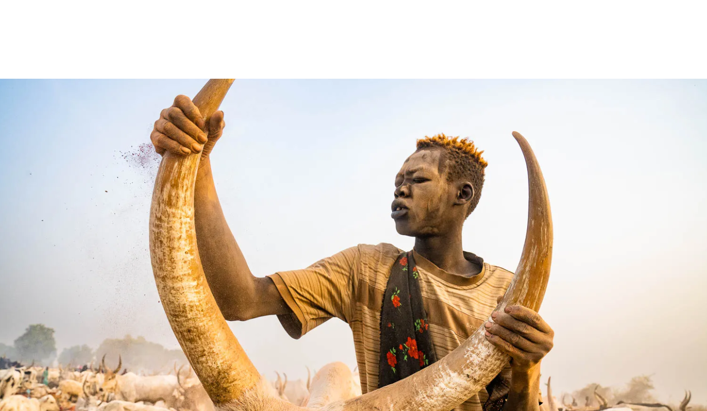 24 killed, 37 wounded in Gogrial East cattle raid