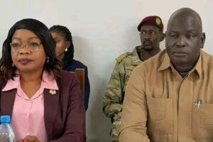 Mass mosquito net distribution launched in Lakes state