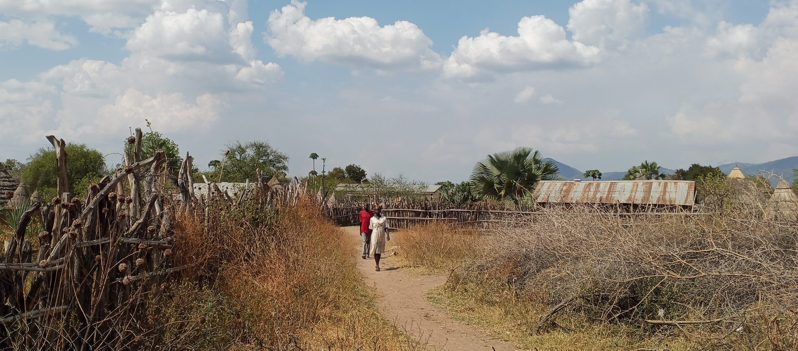 Peace efforts tested as violence persists in Torit County