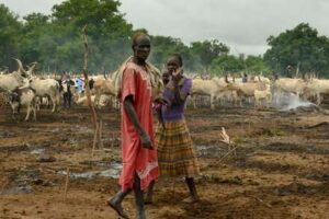Cattle raid kills 14 on outskirts of Juba