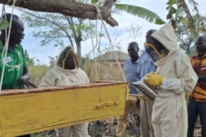 GIZ supports beekeepers with modern hives, training in Yei, Magwi