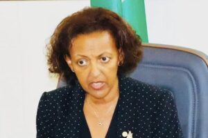 AU urges election progress after South Sudan visit