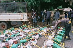 GIZ distributes seeds, tools to 1,000 farmers in South Sudan