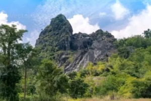 Opinion | Blood gold, state failure, and the political economy of violence in South Sudan