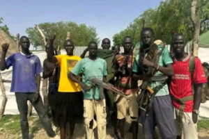 Telecoms cut off in Akobo as SPLA-IO takes control