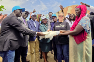 South Sudan launches exercise to distribute 9.5 million mosquito nets