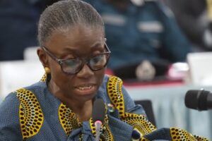 UNMISS chief warns of worsening South Sudan crisis, limited response capacity