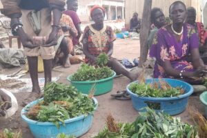 Rumbek municipality moves roadside vendors to new market site