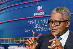 Opinion| Dangote Tanga proposed refinery and regional economic benefits