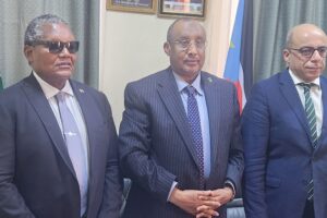 African envoys call for release of detainees in South Sudan