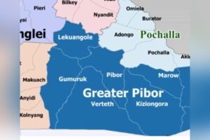GPAA: Anyuak Community urges dialogue amid territorial dispute