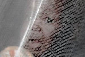 Several detained over theft of mosquito nets in W. Equatoria