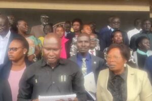 SPLM-IO says removal of 47 MPs breaches peace deal