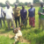 ‎FAO distributes 200 goats to support returnees, IDPs in Yei
