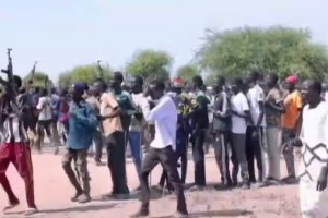 Terchuong: politically connected militia in controversy