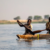 More than a dozen feared dead in Jonglei fishing ground clashes
