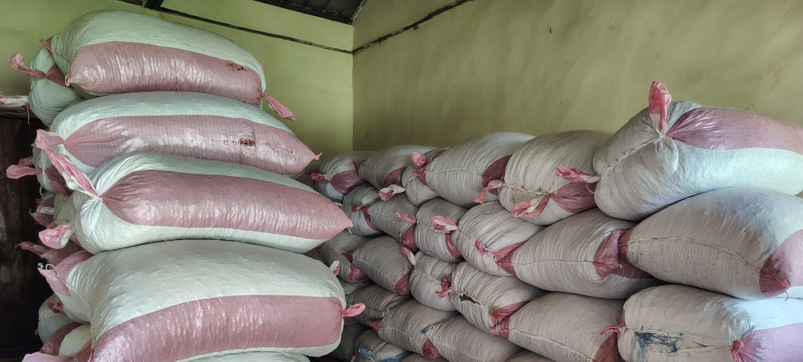 GIZ distributes climate-resilient seeds in Yei, Magwi