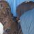 U.N. report documents widespread sexual violence in Sudan conflict
