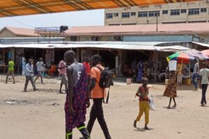 Jonglei labour ministry orders foreign work permit renewal