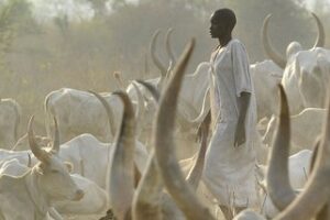 Four killed, four injured in cattle raid in Bor County