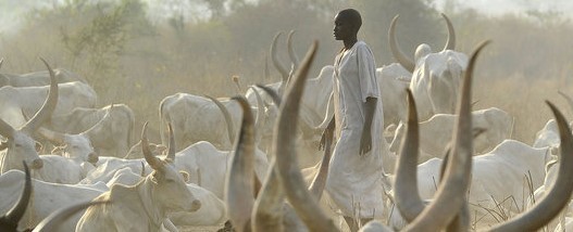 Four killed, four injured in cattle raid in Bor County
