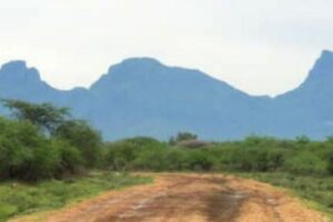Carter Center staff member shot dead in Eastern Equatoria ambush