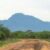 Carter Center staff member shot dead in Eastern Equatoria ambush
